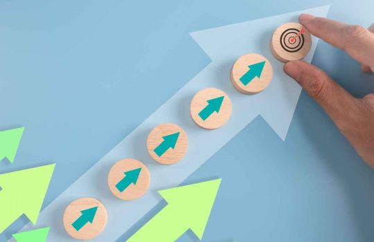 ייעוץ אסטרטגי2